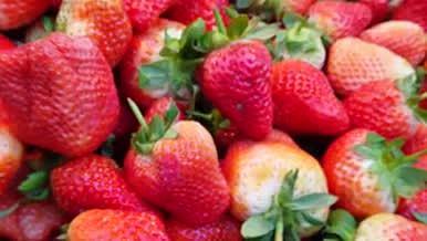 草莓火龙果葡萄红色水果绿色植物视频的预览图